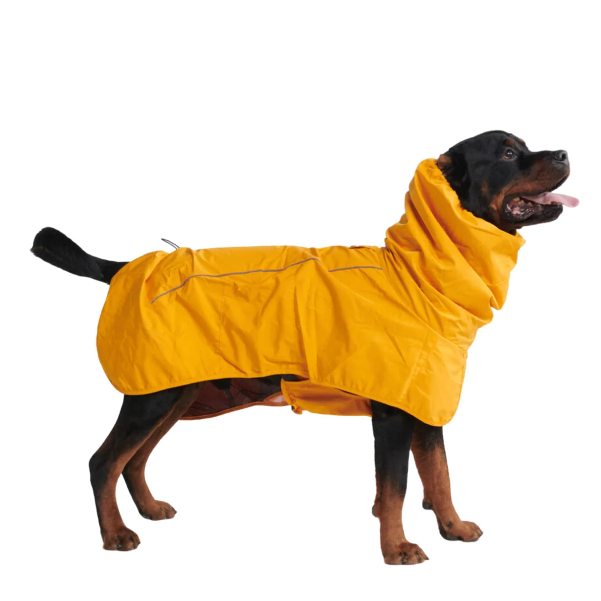 Spark Paws Dog Raincoat - Waterproof Rain Jacket w/Hood, Full Coverage | Waterproof Coat Covers Full Body incl. Belly - Reflective, Covered Harness Holes, Lightweight, Small, Medium & Large Dogs