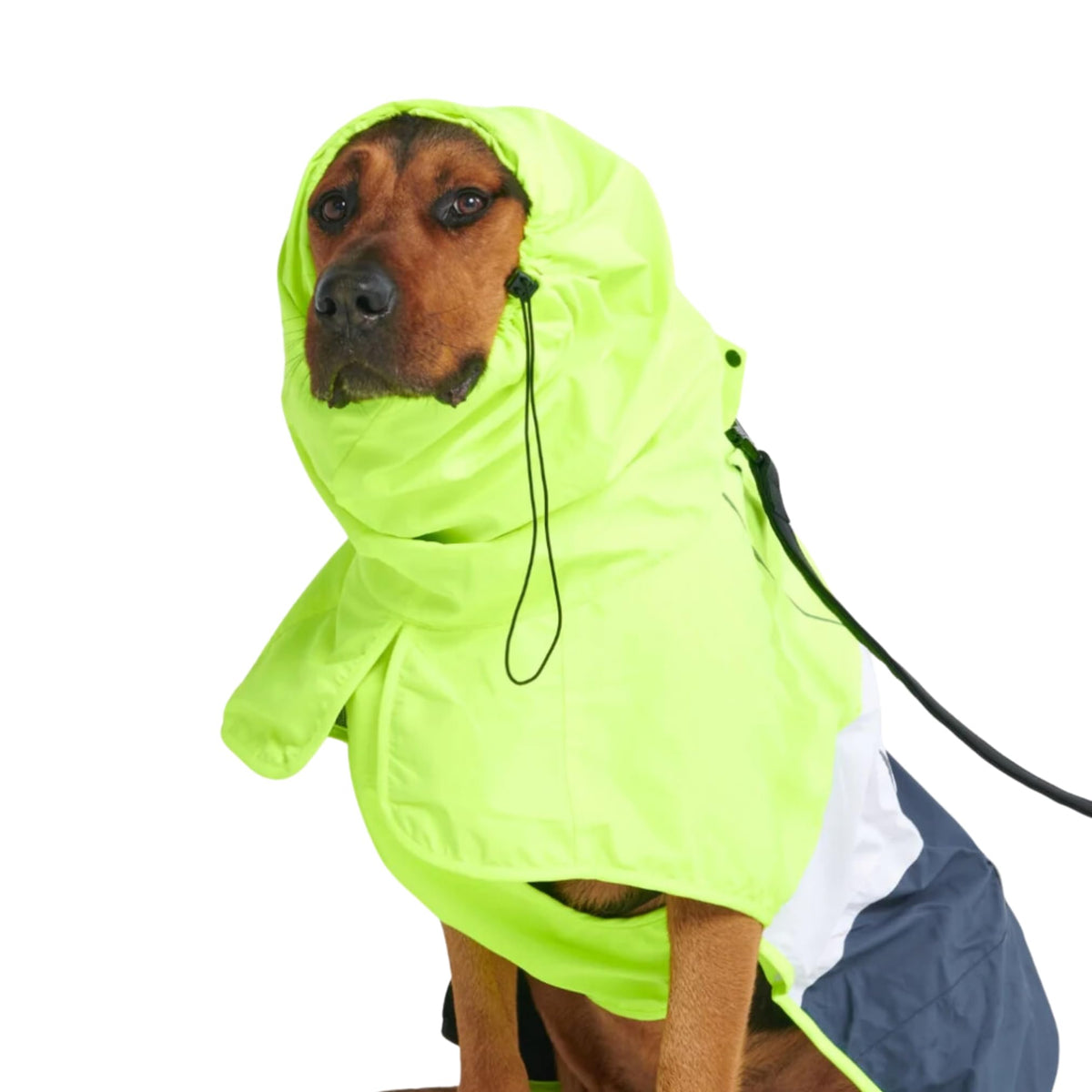Spark Paws Dog Raincoat - Waterproof Rain Jacket w/Hood, Full Coverage | Waterproof Coat Covers Full Body incl. Belly - Reflective, Covered Harness Holes, Lightweight, Small, Medium & Large Dogs