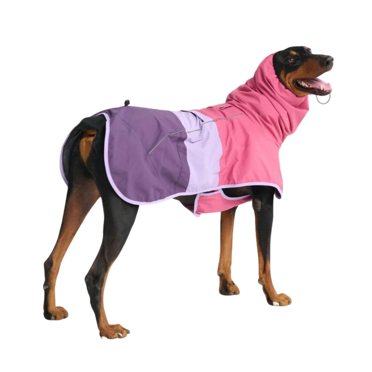 Spark Paws Dog Raincoat - Waterproof Rain Jacket w/Hood, Full Coverage | Waterproof Coat Covers Full Body incl. Belly - Reflective, Covered Harness Holes, Lightweight, Small, Medium & Large Dogs