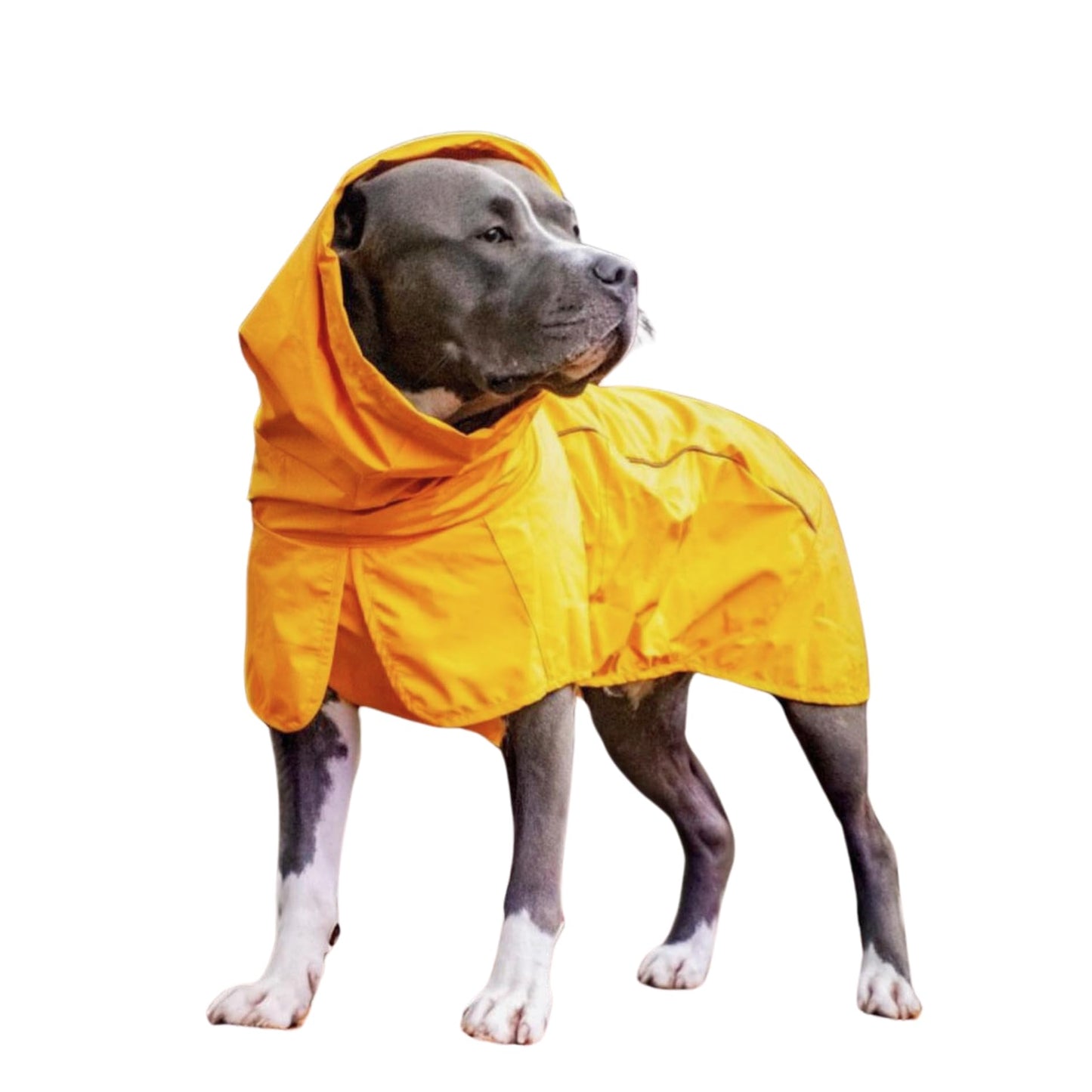 Spark Paws Dog Raincoat - Waterproof Rain Jacket w/Hood, Full Coverage | Waterproof Coat Covers Full Body incl. Belly - Reflective, Covered Harness Holes, Lightweight, Small, Medium & Large Dogs