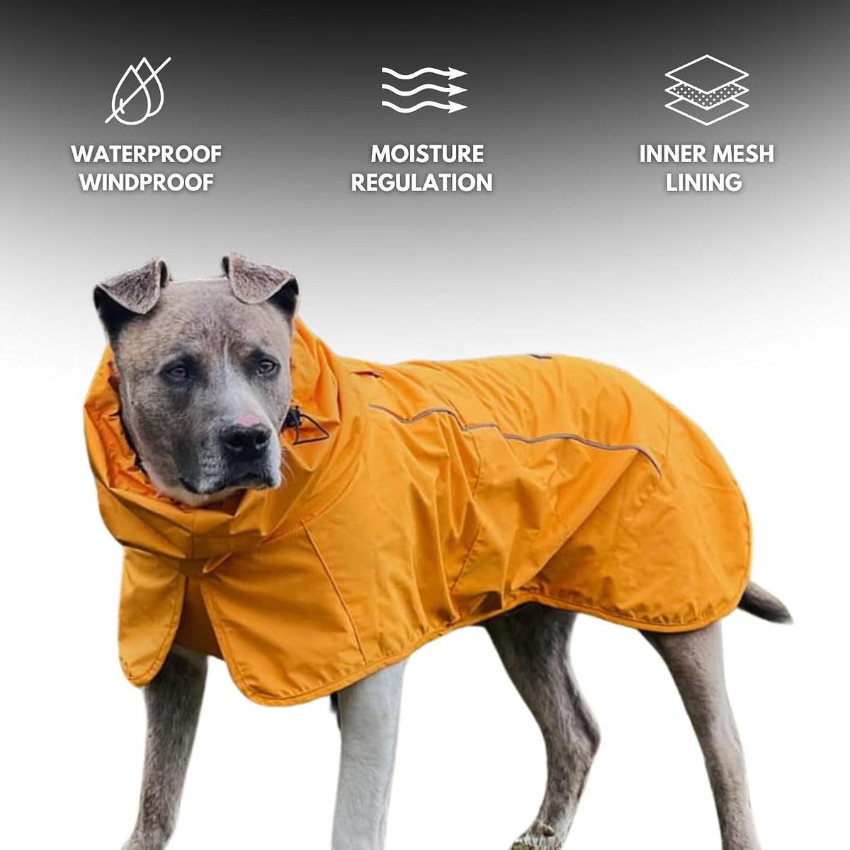 Spark Paws Dog Raincoat - Waterproof Rain Jacket w/Hood, Full Coverage | Waterproof Coat Covers Full Body incl. Belly - Reflective, Covered Harness Holes, Lightweight, Small, Medium & Large Dogs