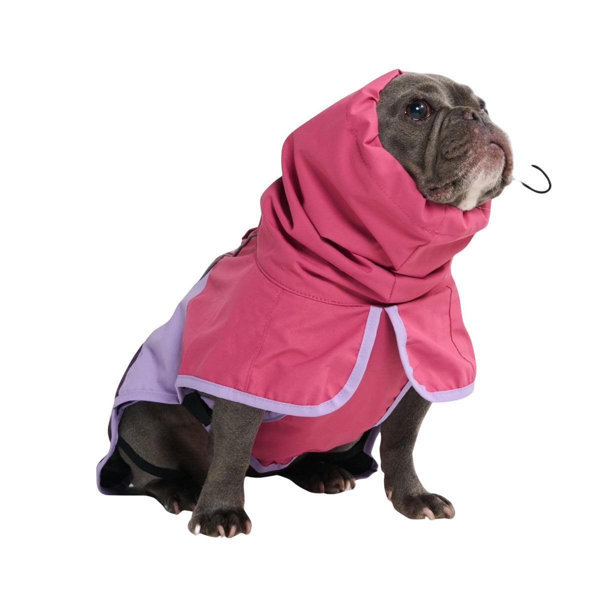 Spark Paws Dog Raincoat - Waterproof Rain Jacket w/Hood, Full Coverage | Waterproof Coat Covers Full Body incl. Belly - Reflective, Covered Harness Holes, Lightweight, Small, Medium & Large Dogs