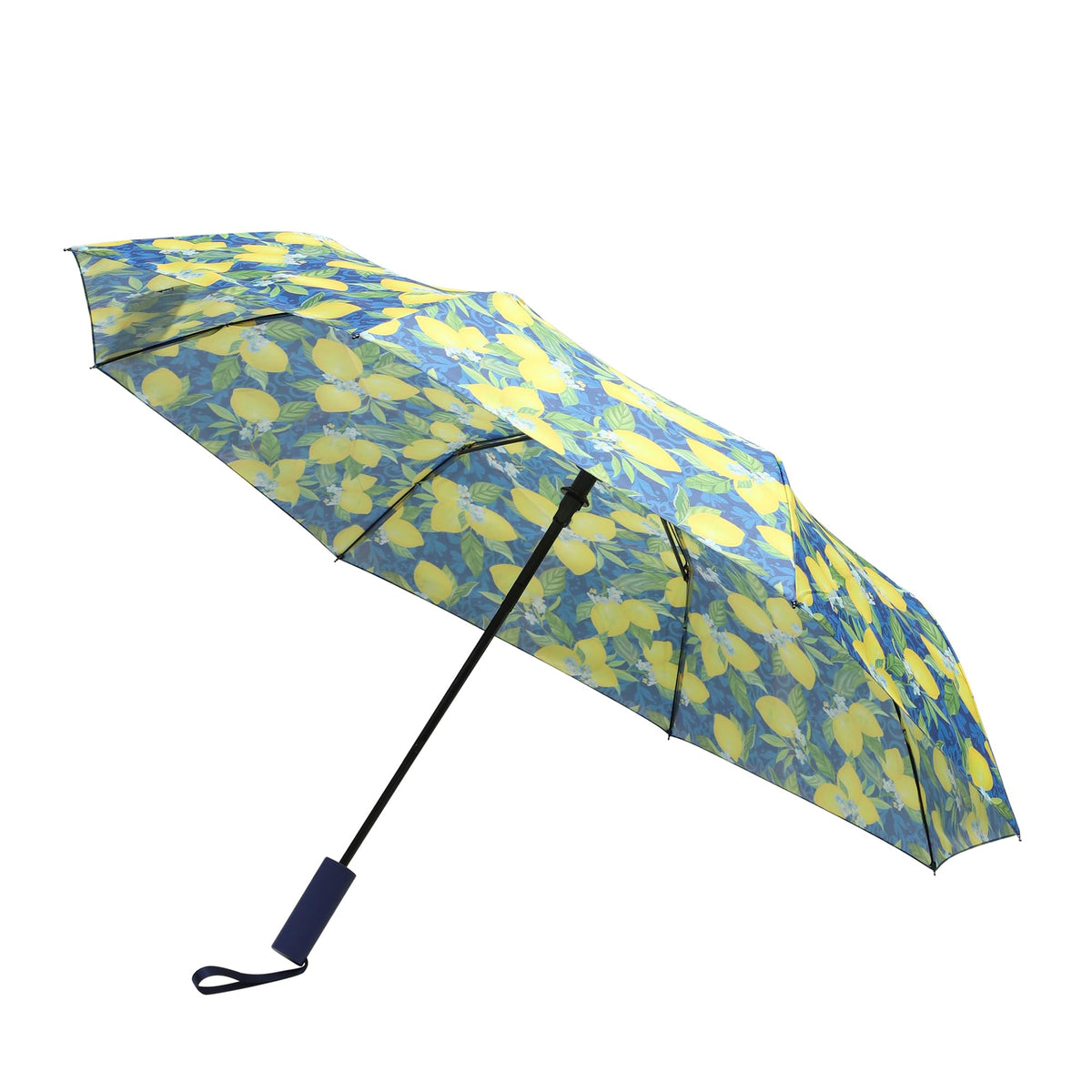 Compact Travel Umbrella with Auto Open – Windproof Folding Umbrella, Lightweight & Portable for Rain