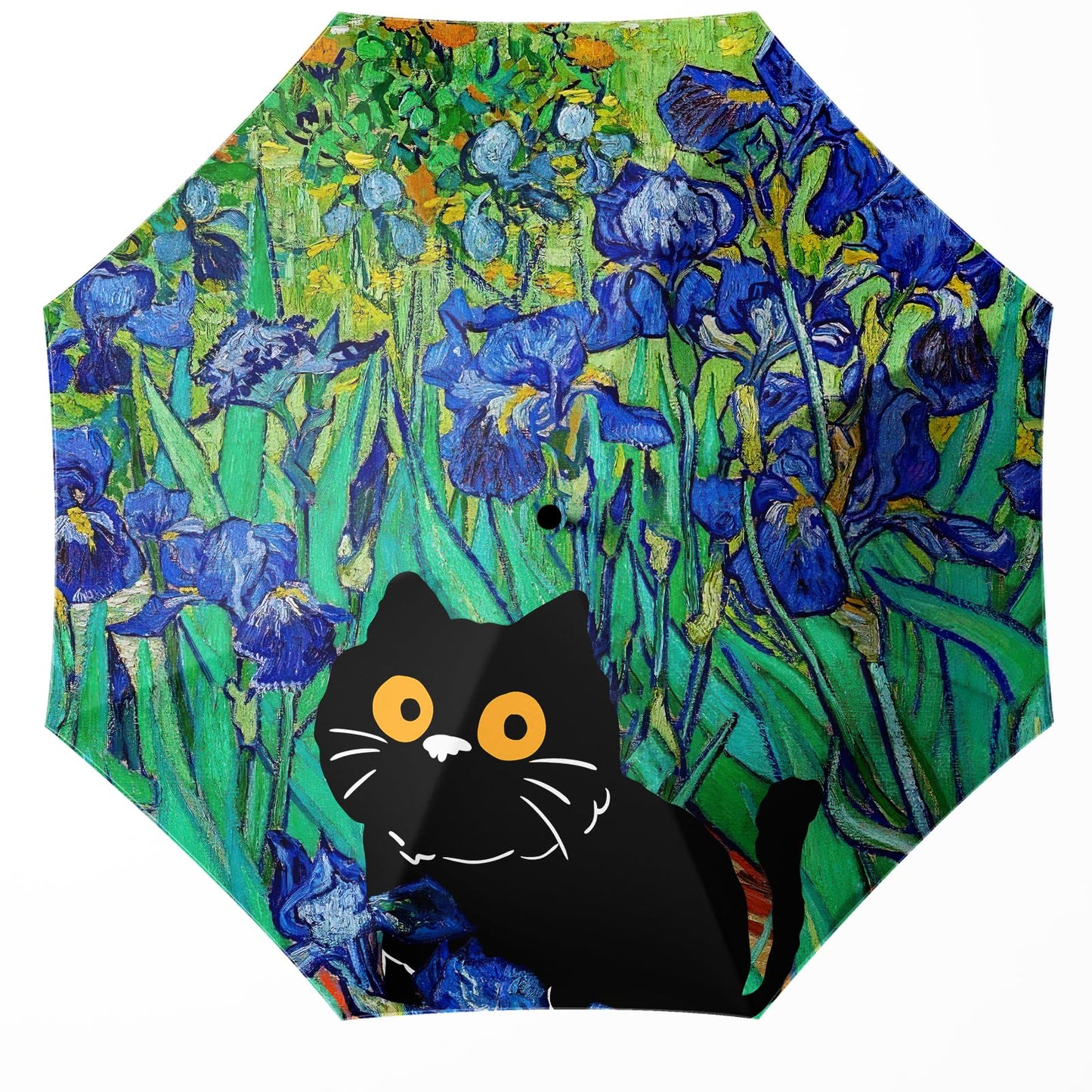 Folding Umbrella, Automatic Small Compact, Sun & Rain | Portable & Lightweight, 8 Ribs, Windproof, UV Protection, for Travel, Outdoor, Commute & Women