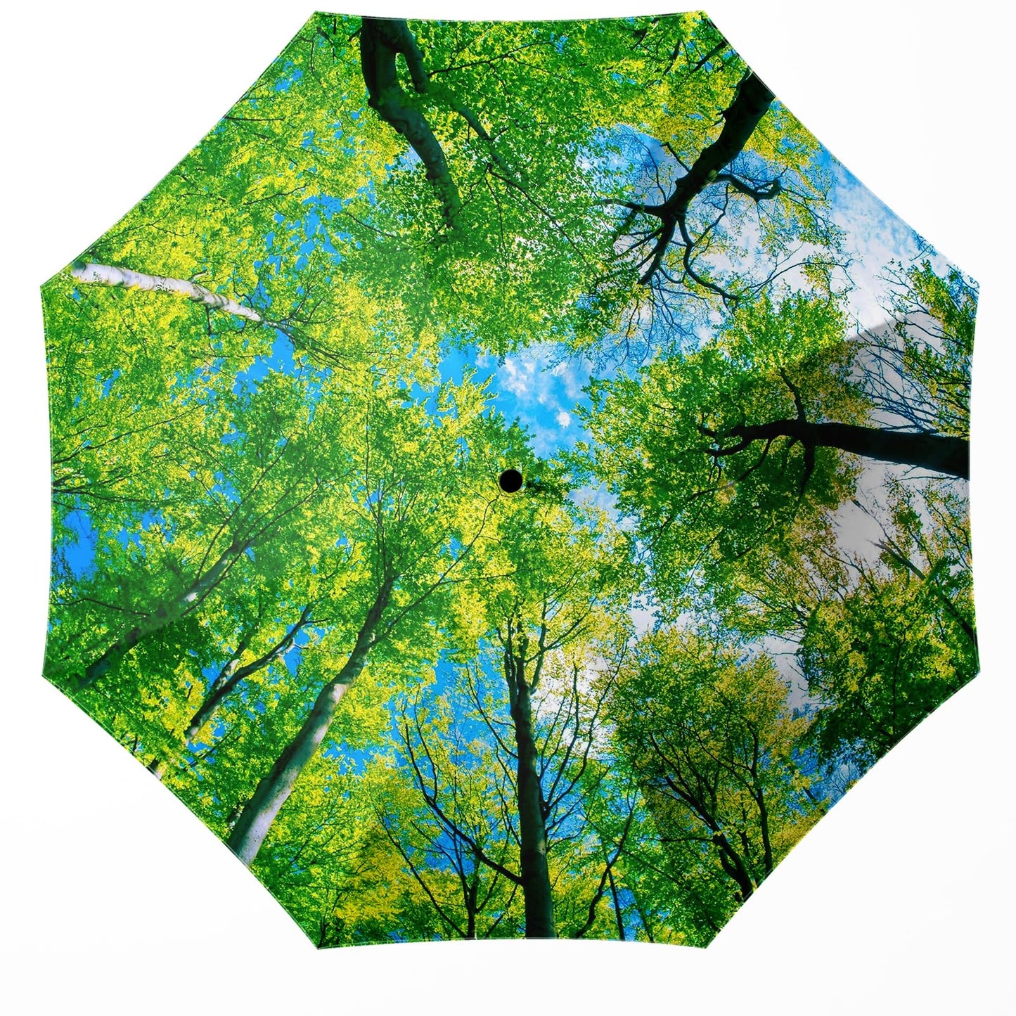 Folding Umbrella, Automatic Small Compact, Sun & Rain | Portable & Lightweight, 8 Ribs, Windproof, UV Protection, for Travel, Outdoor, Commute & Women